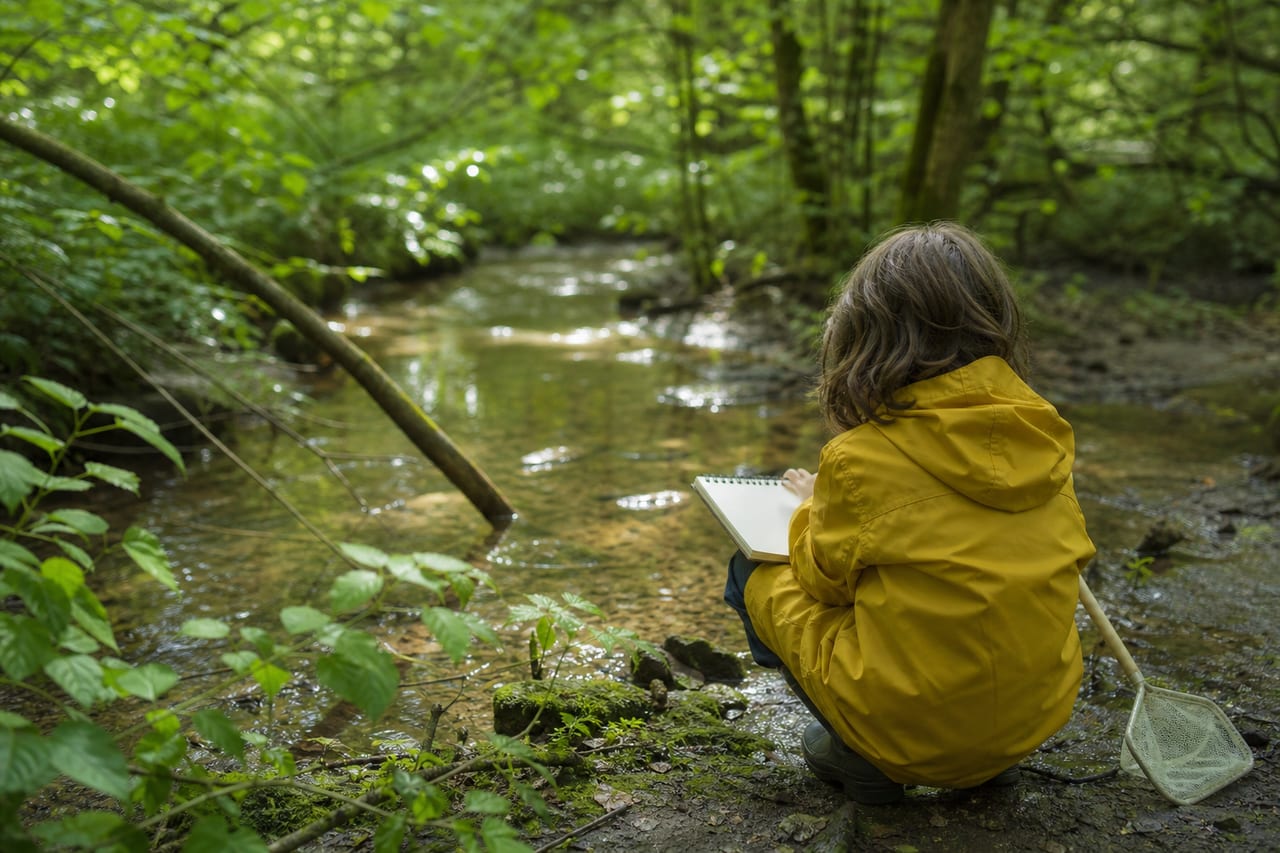 Child taking notes beside a woodland stream